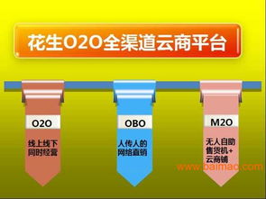 廣東F2C電商模式解決方案 專家指導、生產廠家合作與軟件開發價格解析