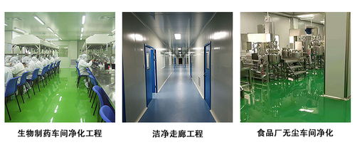 建設(shè)食品廠無塵車間的關(guān)鍵注意事項與電蚊拍管理策略